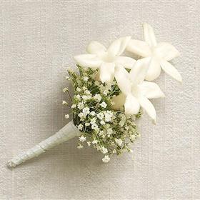 fwthumbCorsage White Stephanotis.jpg